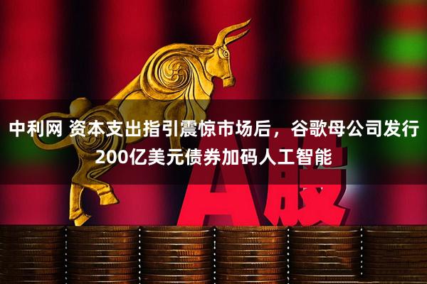 中利网 资本支出指引震惊市场后，谷歌母公司发行200亿美元债券加码人工智能